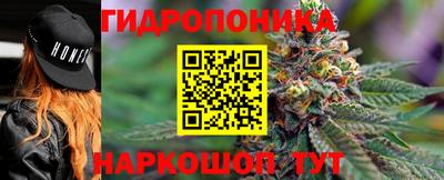 наркотики Гатчина
