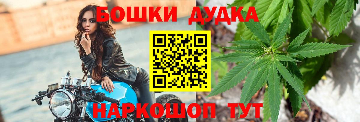 Каннабис MAZAR Губкинский