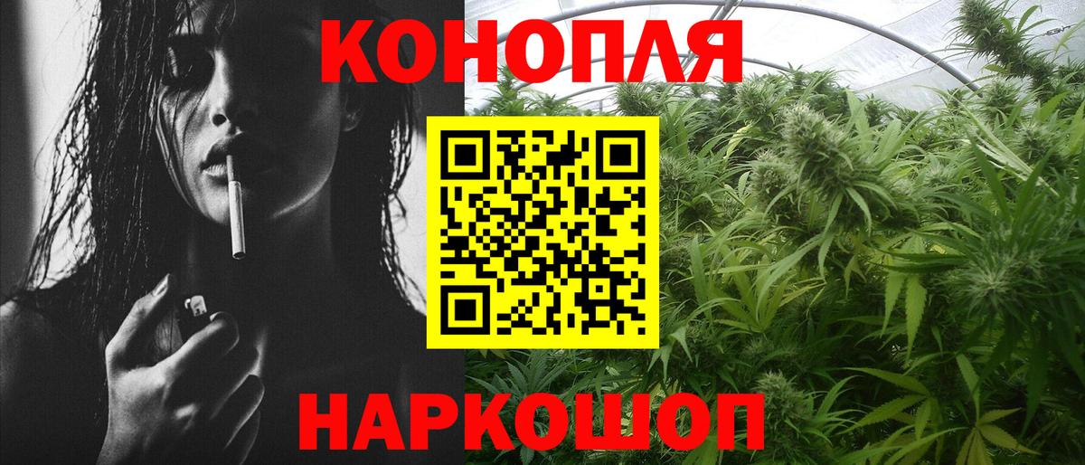 Конопля план  Вход с VPN  Губкинский  Канабис ГИДРОПОН  Бошки Шишки ГИДРОПОН 